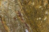 Polished Neoarchean Stromatolite Fossil - Western Australia #150690-1